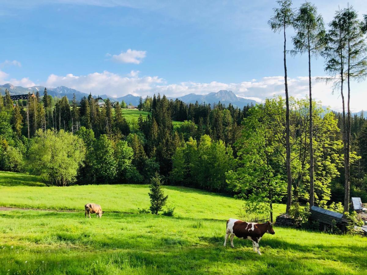 Ferienwohnung Tatrzanska Polana 5F Zakopane Exterior foto